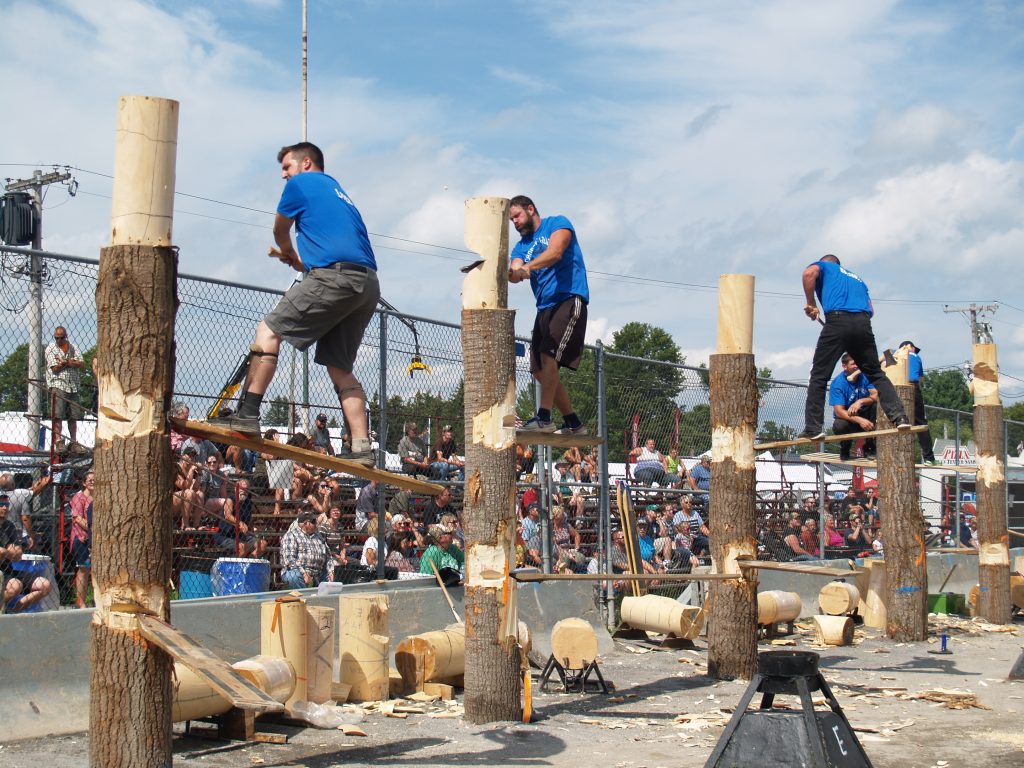 Participants in blue shirts are actively chopping logs during the woodman field days, with a large audience watching from the stands in the background.